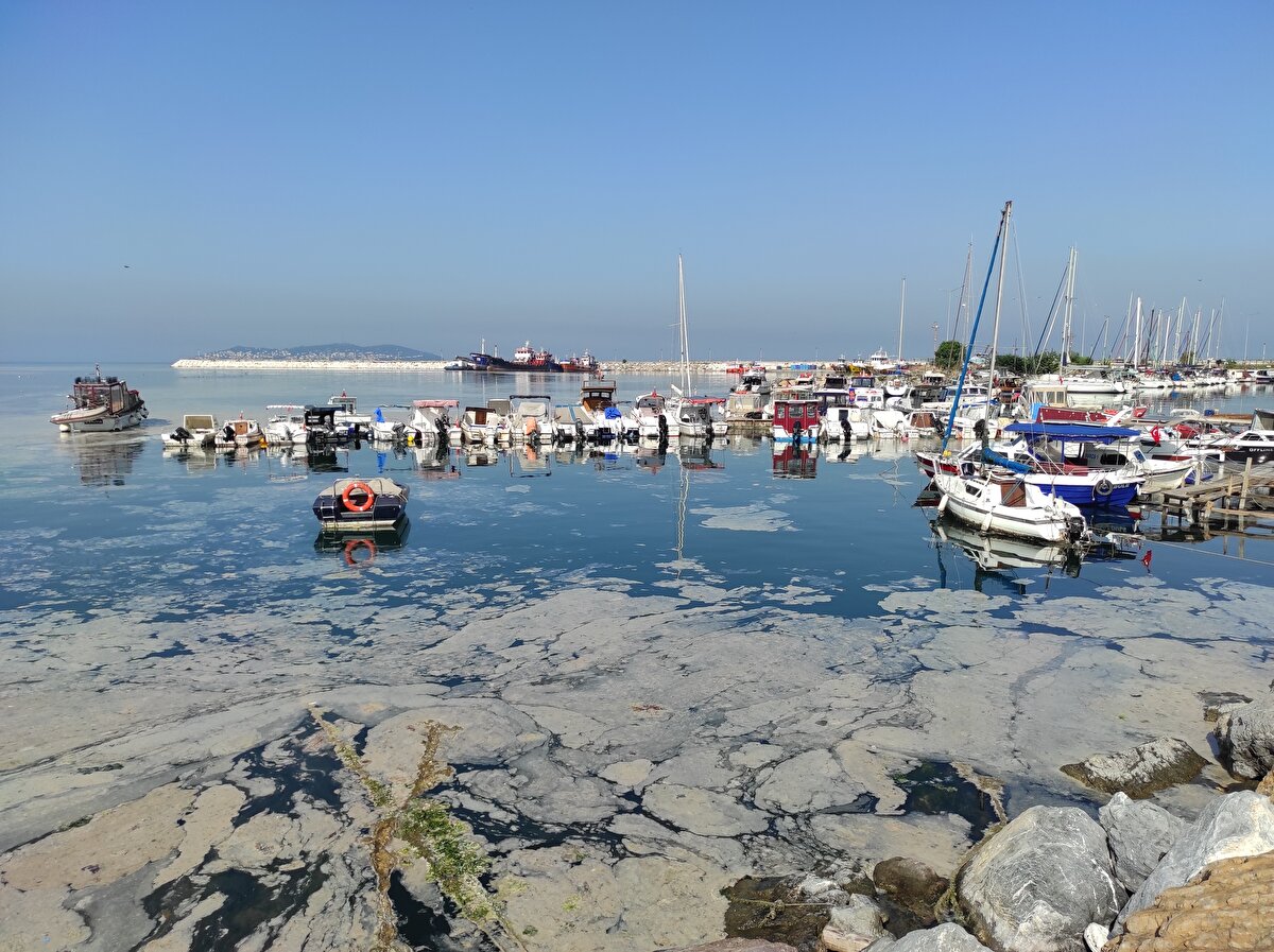 Maltepe ve Kartal sahillerindeki bazı bölgelerde ise müsilajın yer yer etkili olduğu gözlendi.  