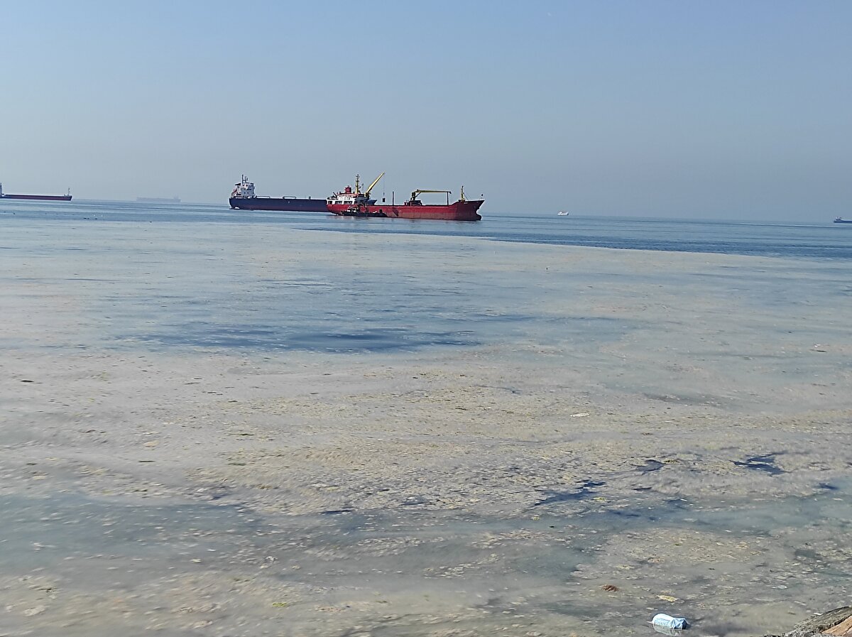 Çevre ve Şehircilik Bakanlığı ile yetkilendirilen kuruluşlara ait tekneler, deniz süpürgeleri ve botların çalışmaları açık denizde sürerken, İstanbul Büyükşehir Belediyesi'ne ait tekneler de sahillere yakın kısımlarda dip temizliğine devam ediyor.  