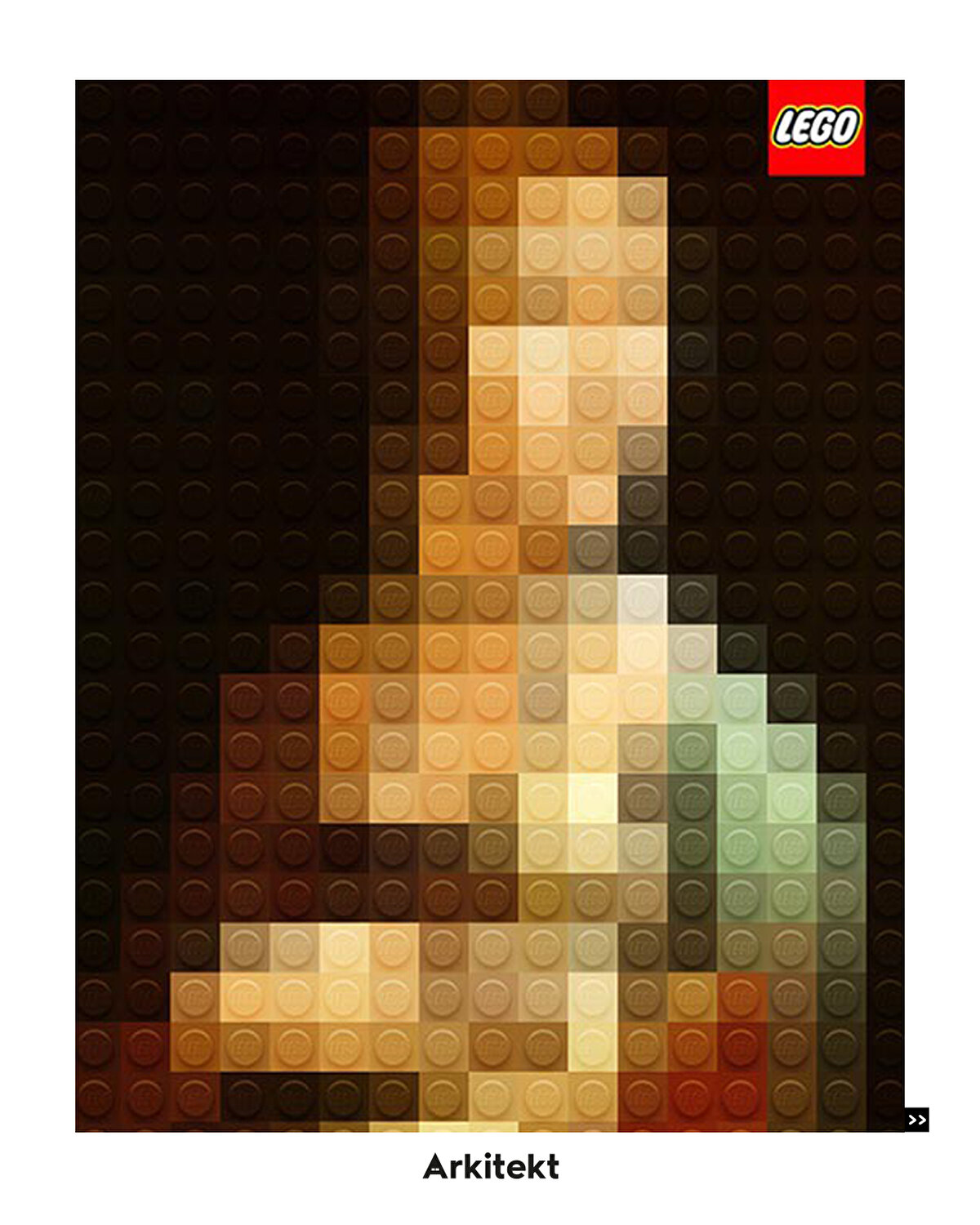 Leonardo Da Vinci, Erminli Kadın