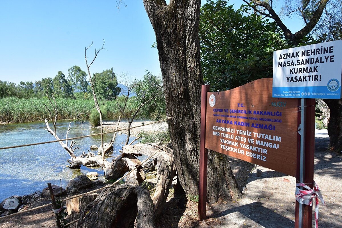 'Sakin Şehir' Akyaka Mahallesi'nde doğal akvaryum görüntüsü ile bilinen 'Kadın Azmağı' da kuraklıktan etkilendi.
