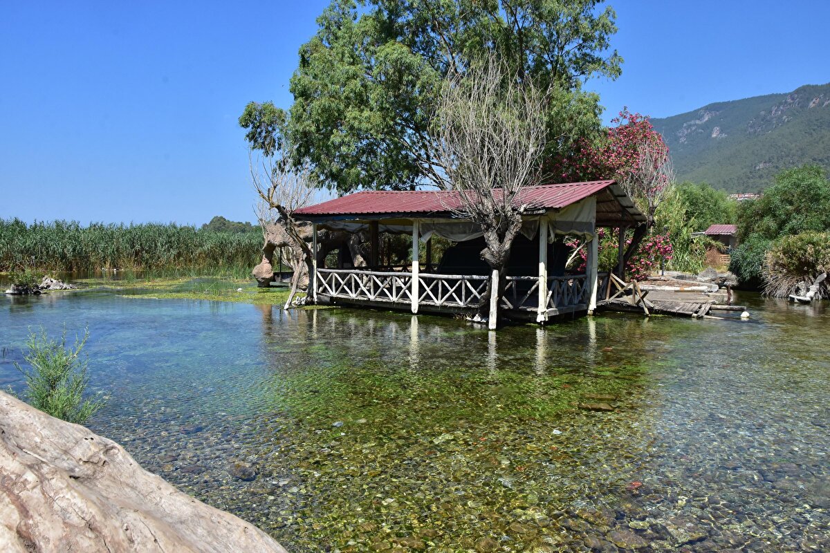 Belediye görevlilerince, yasağın gerekçeleri bölgeye yerleştirilen tabelalara yazıldı.

