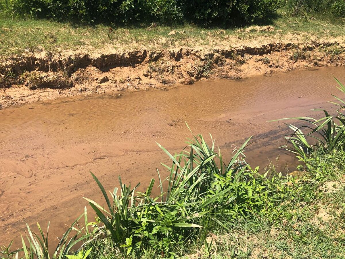 Hava sıcaklıklarının artmasıyla birlikte tatilciler denize girmeyi ihmal etmiyor. Bazıları tedirgin olduğunu söyleyerek, denize girmediğini, bazıları ise sıcak havadan ve pandemiden bunaldığını söyleyerek, denize gireceklerini belirtti. Çevre ve Şehircilik Bakanlığı'ndan edinilen bilgiye göre, bölgeden numune alınarak, incelemeye gönderildi. Bölgede çalışmalar devam ediyor.