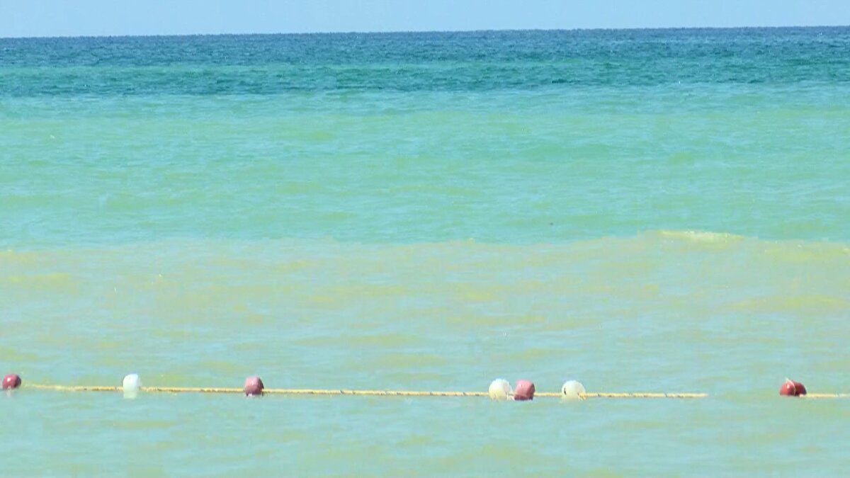 Yağmur sularıyla dere yükseldiği zaman bu çamurlar olduğu gibi denize iniyor. Denizin rengi de bu sebepten iki renk. Ufak bir yağmuru fırsat bilip, biriken suların önlerini açmalarından denizi bu hale getiriyorlar" şeklinde konuştu.