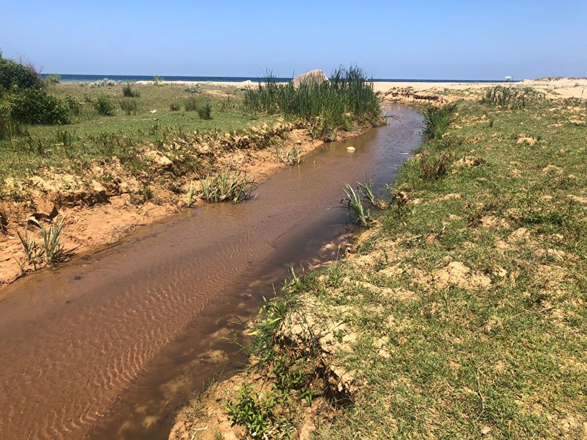 Şile Alacalı Mahallesi, Sadıklı ve Doğancılı deresinden karışan çamur ve atıklarla denizin rengini değiştirdi. İddialara göre, bölgeye yakın olan bazı maden ocakları atık depolarında biriken atıkları, yağmurlu havayı bahane edip depo kapaklarını açarak derelere bırakıyor. Bu atıklar ise derelerin kirlenmesi ile birlikte denizin de kirlenmesine neden oluyor.