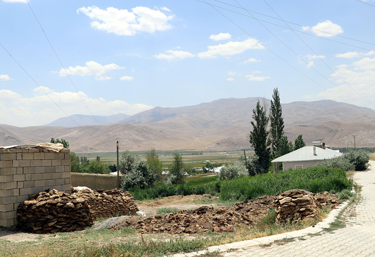İbrahim Tunç ise, "Ne biz ne de küçük çocuklarımız yatabiliyor. Geceleri ortaya çıkıyor. Gündüz gözüyle görülmüyor. Bir saniyede insanı yakıp hemen kayboluyor. İlaçlama olmasa bunları öldürmek mümkün değil. Yetkililerden ricamız, bir an önce gelip köyümüzü ilaçlasınlar" diye konuştu.

