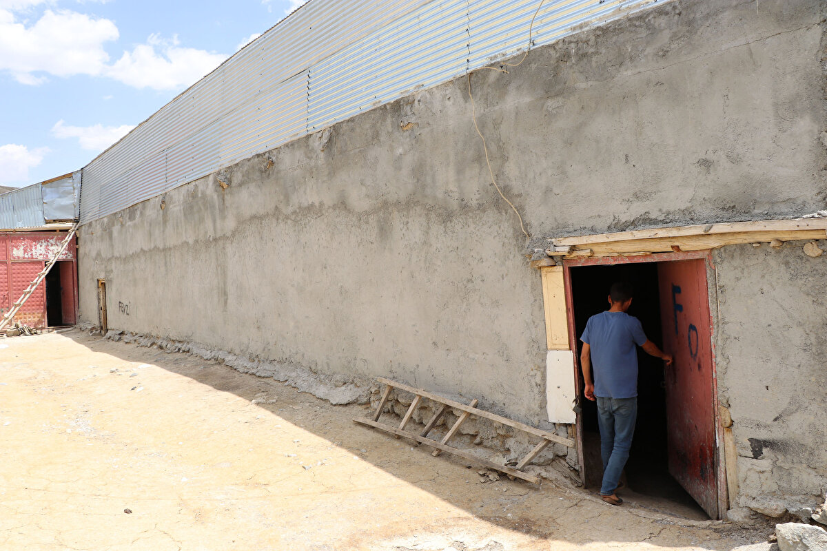 Mahalle muhtarı Fevzi Tunç, "Bunun ilaçlanması için yetkililerden yardım bekliyoruz. Burada yaşayanlar hepsi hasta oldu. Benim mahalleme bağlı 4 mezrada da var. Allah rızası için bu konuya bir el atsınlar. Buranın nüfusu bin 500 civarında. Ayrıca su sıkıntımız var. Gece sabaha kadar uyuyamıyoruz. Her gün vatandaşlar beni arıyor, 'muhtar biz hastayız yatamıyoruz' diyorlar. Ben ilgili kurumlara defalarca müracaatta bulundum. Ama şu ana kadar mahallemizde ilaçlama yapılmadı" dedi.

