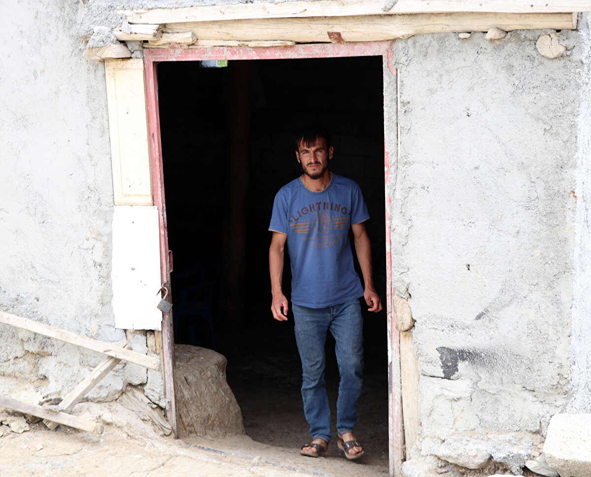 Gürpınar'ın 150 hane ve yaklaşık bin 500 nüfuslu Yolaşan Mahallesi’nde vatandaşlar, 2 yıldır evlerini istila eden pire, bit ve sivrisineklerle mücadele ediyor. Kendi imkanlarıyla sorunun üstesinden gelemeyen mahalleli, yetkililerden yardım istedi.

