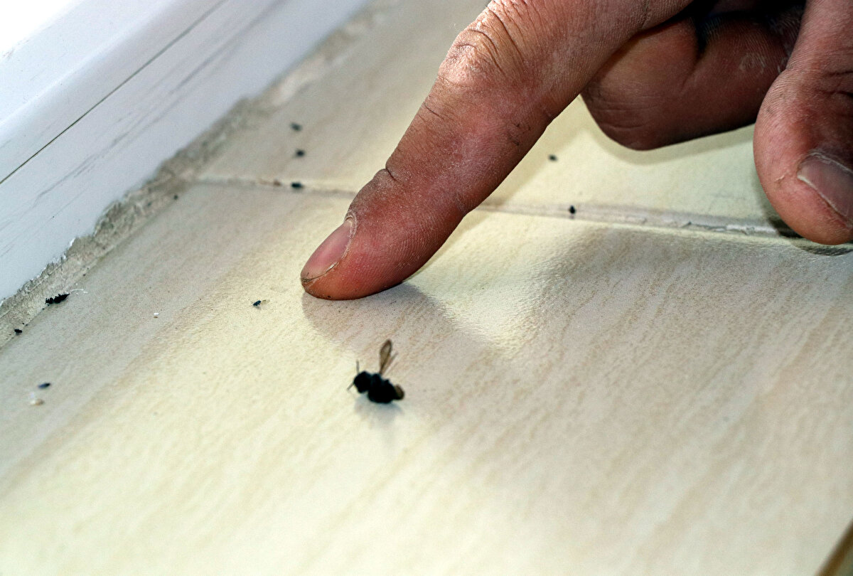 Mahallelilerin zor anları gösteren kareler;