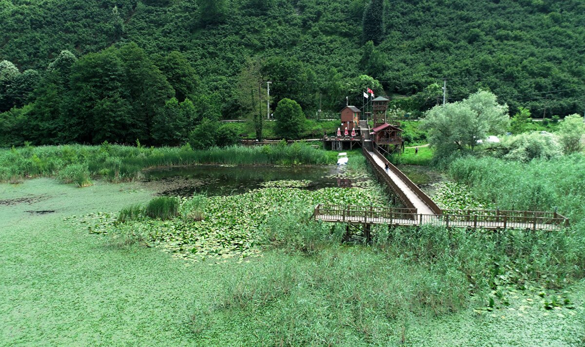 Düzce'nin Gölyaka ilçesi Bıçkı Deresi üzerinde bulunan Güzeldere Şelalesi, 120 metre yükseklikten düşen suyun doğal coşkusunu dev kayın ve gürgen ağaçlarıyla bütünleştirerek muazzam bir görüntü oluşturuyor.