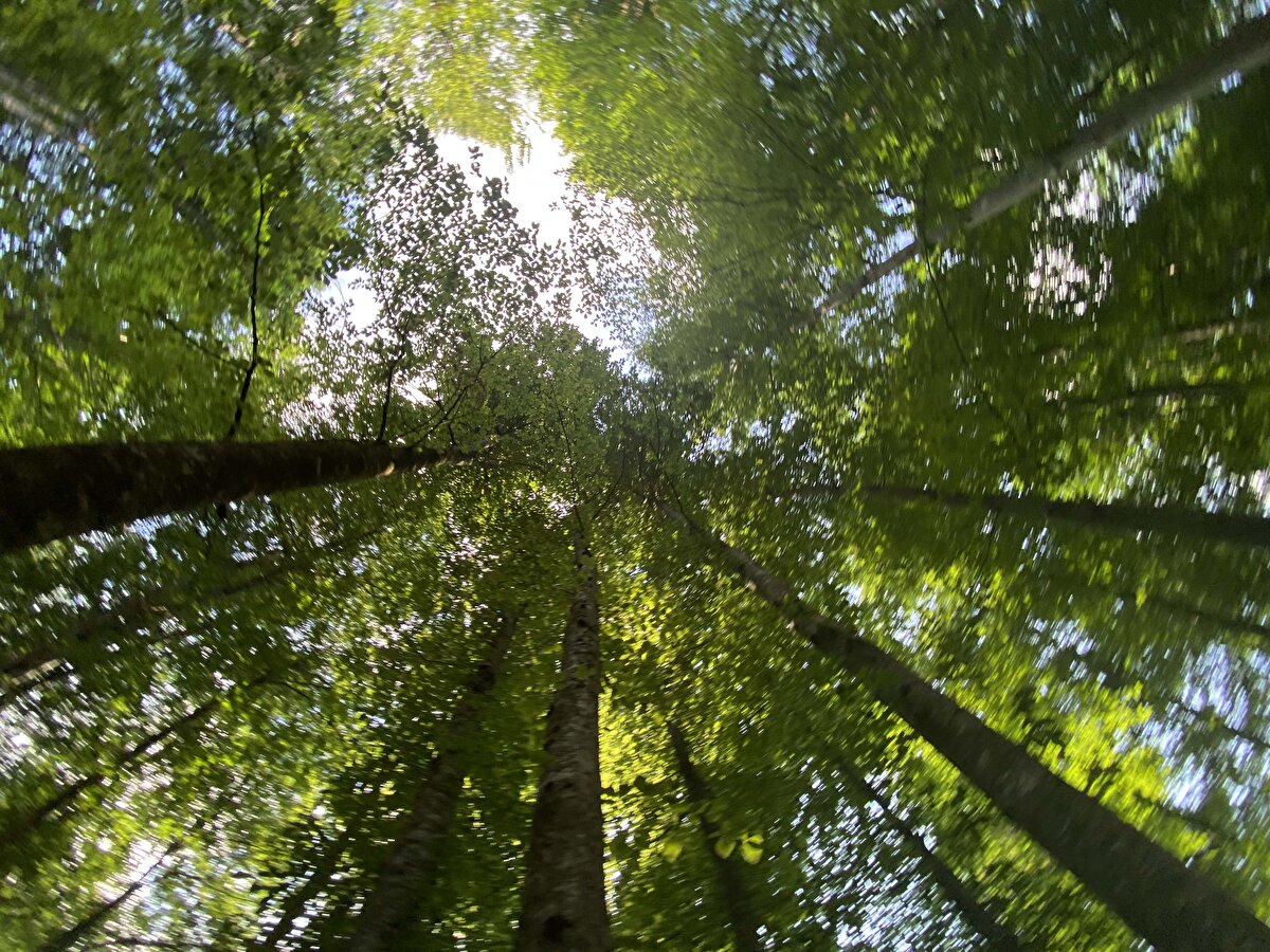 Güzeldere Şelalesi düzenlenen üç ayrı patika ve merdivenler sistemiyle gezilebiliyor. Şelalenin özellikle ilkbahar ve sonbaharda renk cümbüşüne dönüşen tonları adeta bir tabloyu andırıyor.
