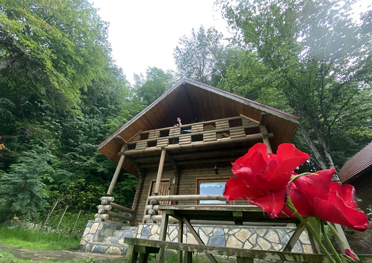 Çevrede kuş türlerinin izlenebilmesi için 1 adet seyir terası bulunuyor. Kuşların göç yollarında, bir mola gölü olan Efteni Gölü, su seviyesinin dışında nilüfer çiçekleriyle, sazlık alanlarıyla kuşları saklarken fotoğraf ve kuş gözlemciliğine kompozisyon oluşturuyor.