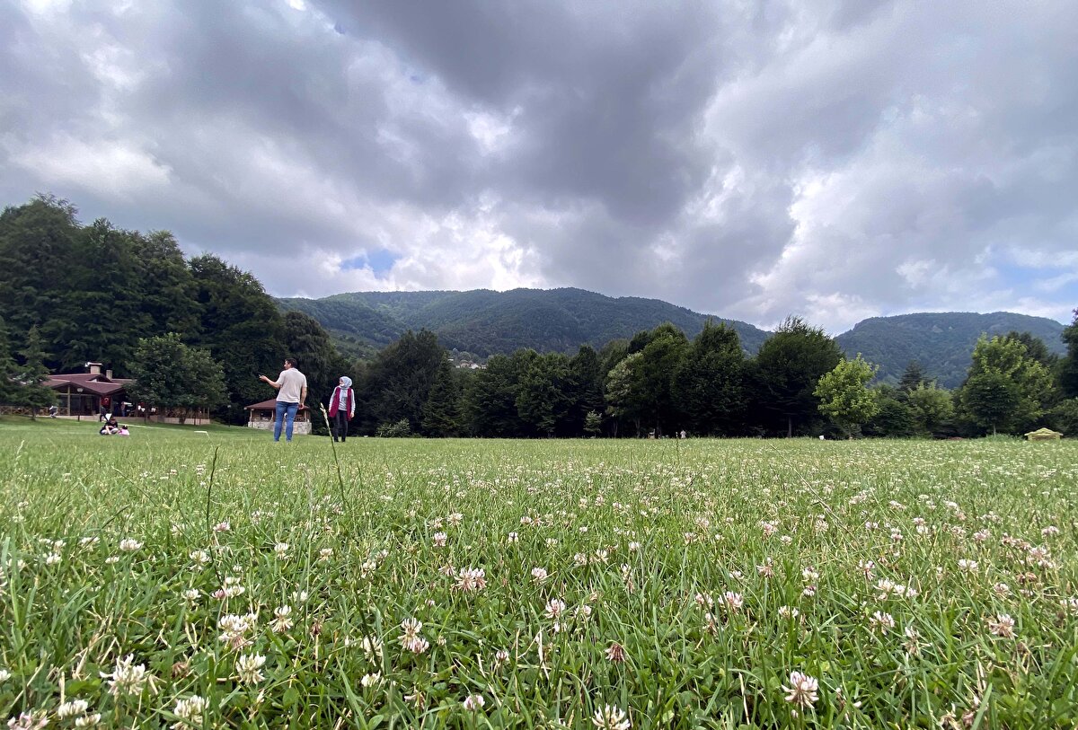Gölyaka Belediye Başkanı Yakup Demircan, Düzce'nin ve özellikle Gölyaka'nın "şelaleler ve göller şehri" olarak bilindiğini belirterek, şelalelerin, bölgenin en fazla ziyaretçi çeken noktaları olduğunu söyledi.