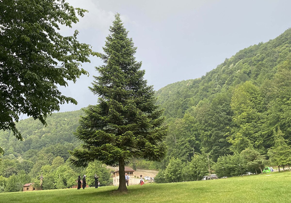 Leylek, yaban ördeği, tepeli beyaz balıkçıl, angut, sakar meke, kuğu, sakarca, yeşilbaş, fiyu, bekri, çıkrıkçın, kılkuyruk, kaşıkçın, elmabaş, pasbaş, gri balıkçıl, turna, toy, mezgeldek, çulluk, karatavuk, kızkuşu, karabatak gibi kuşların konakladığı bölge, kuş gözlemcilerinin ve doğaseverlerin ilgisini çekiyor.