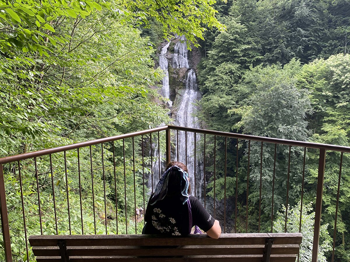 Göçmen kuşların konakladığı sahalardan biri olan Düzce'deki Efteni Kuş Cenneti, yaklaşık 150 türde kuşa ev sahipliği yapıyor.