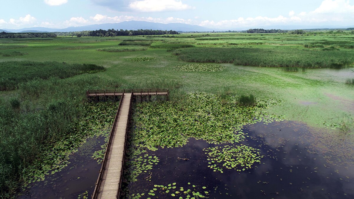 Düzce'nin yüksek kesimlerinde bulunan Aydınpınar ile 130 metre yüksekliğinden akan Güzeldere Şelalesi ve 150 çeşit kuşa ev sahipliği yapan Efteni Kuş Cenneti, görsel güzelliğiyle her mevsim doğa tutkunlarının ilgisini çekiyor.