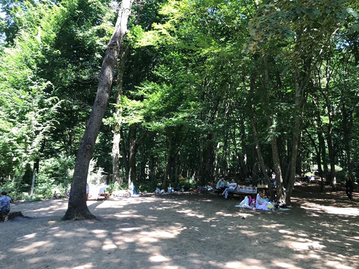Yakup Avcı ise Zaman geçsin diye geldik. Uzun bir aradan sonra yasak kalktı, iyi geliyor böyle arada gelmek. Geldiğimden beri yarım kilo balık tuttum. ifadesinde bulundu.  