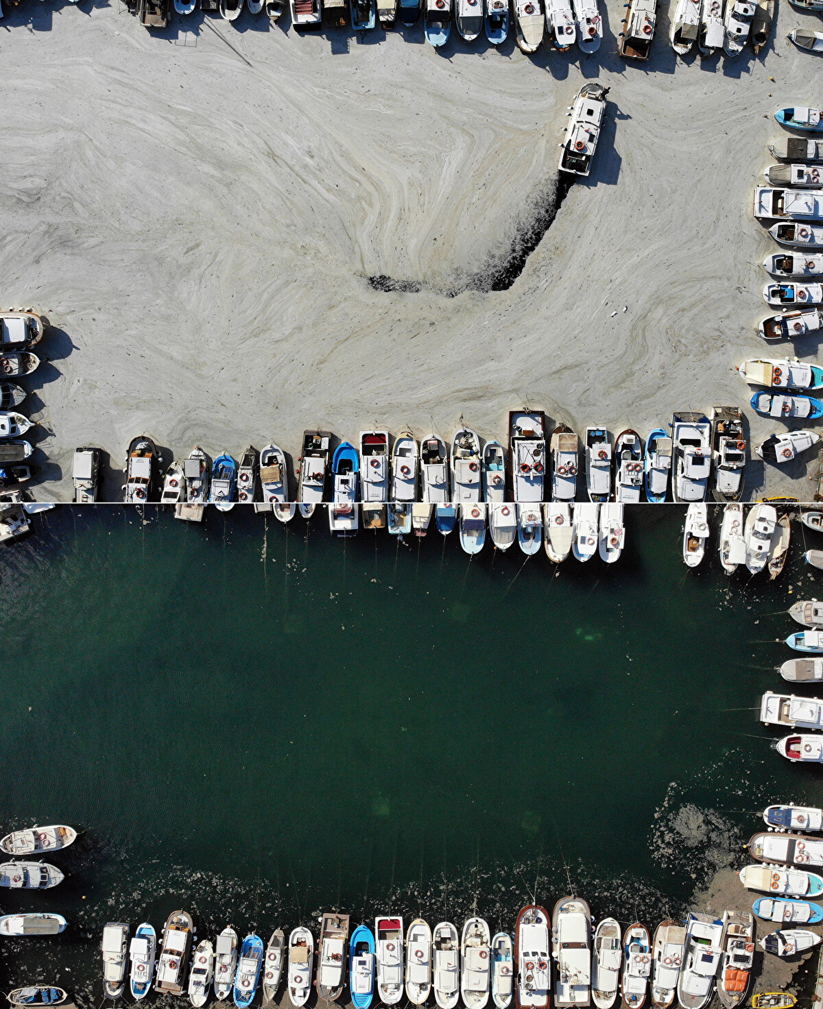 Çanakkale Onsekiz Mart Üniversitesi (ÇOMÜ) Deniz Bilimleri ve Teknolojisi Fakültesi Öğretim Üyesi Prof. Dr. Adnan Ayaz, AA muhabirine, müsilajda azalma olduğunu söyledi.