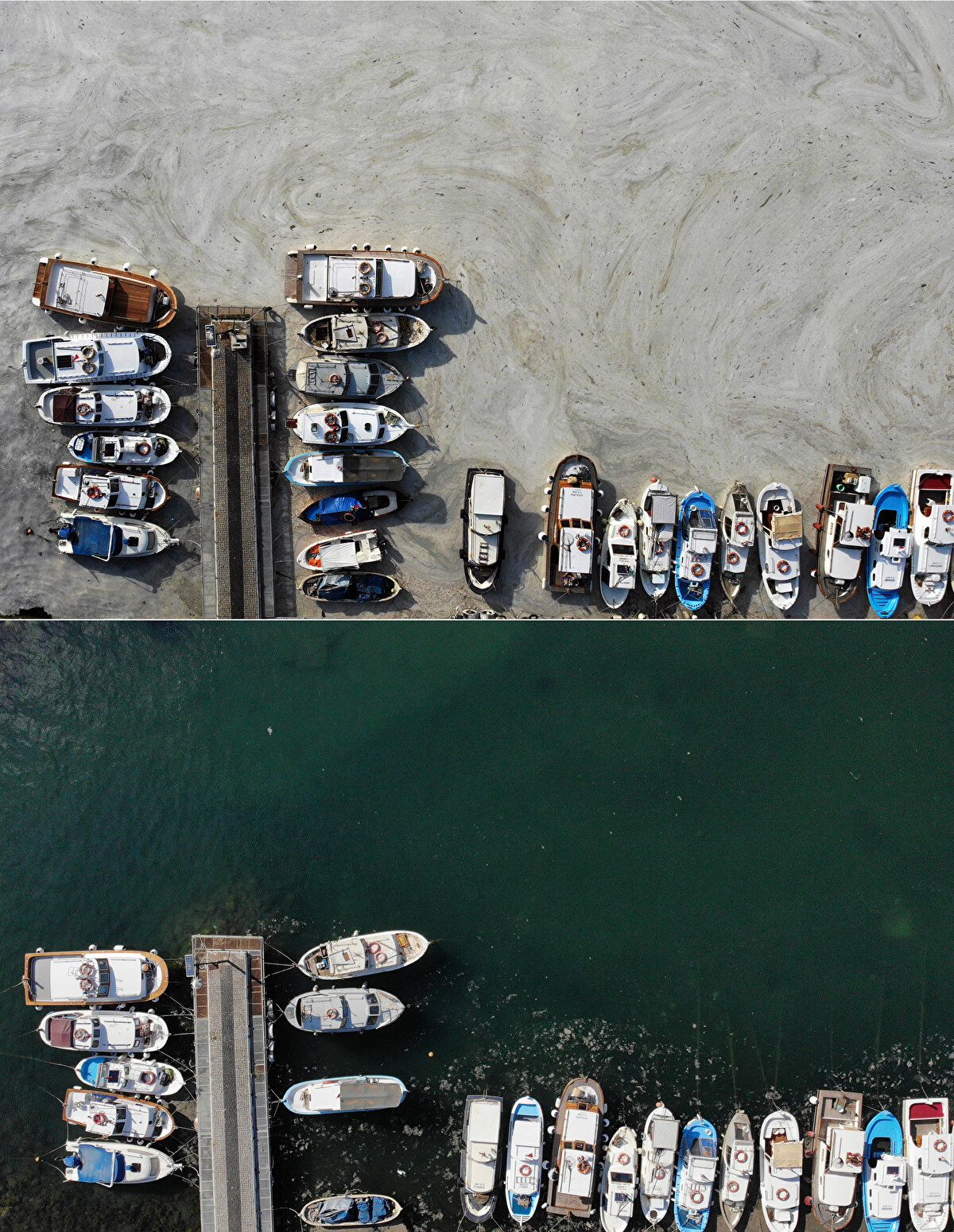 Durum iyiye gidiyor. Şu anda Çanakkale Boğazı'nda azaldı, arka tarafta da Teke Burnu'ndan sonra Saroz'a doğru yok diyebiliriz. Gökçeada ve diğer adalarda da azaldı. Şu anda giderek azalıyor yalnız sularda bulanıklık var. Bu durum yağmurdan da parçalanan müsilajdan da kaynaklanıyor olabilir. Ondan tam emin değiliz. Önceden temmuz ayının ortalarına doğru azalacağını tahmin etmiştim, dediğim gibi de oldu.