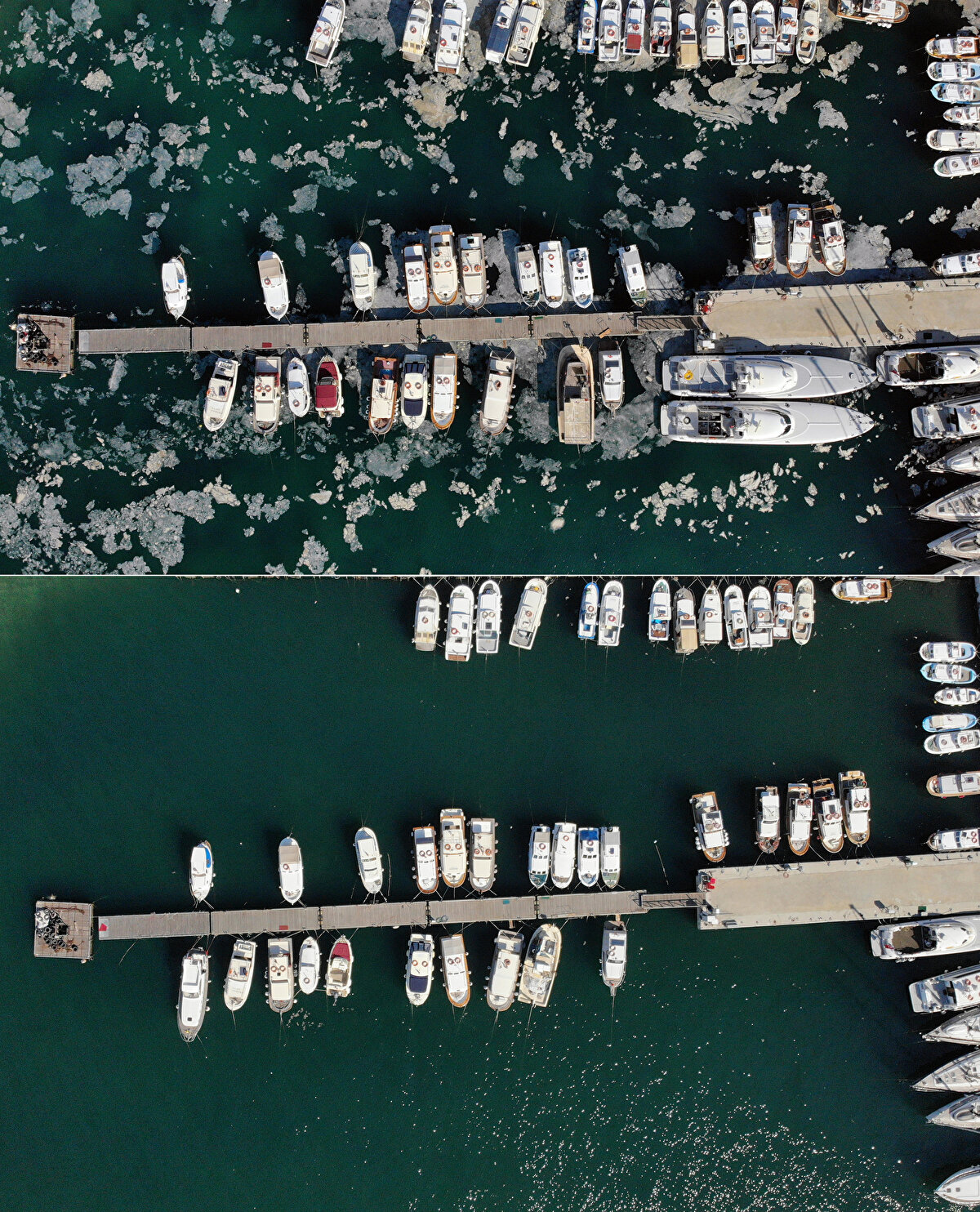 Sahilin temiz halini gören bazı vatandaşlar denize girdi, balık tuttu, deniz kenarında yürüyüş yaptı.