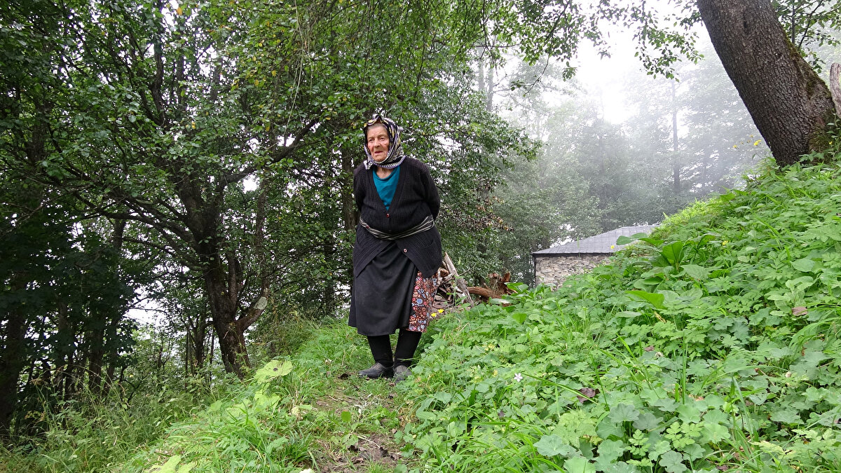 İlçede 2011 yılında yapılan 'En beğenilen ev kadını’ anketinde birinci seçilen, ilerleyen yaşına rağmen cesurca yaşam tarzı nedeniyle 'Robinson Nine' olarak bilinen Fadime Kayacı’nın, hayatı belgesele de konu oldu.