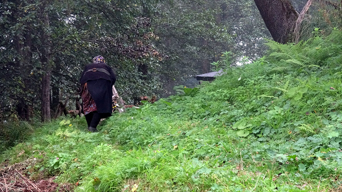 İlçede 2011 yılında yapılan 'En beğenilen ev kadını’ anketinde birinci seçilen, ilerleyen yaşına rağmen cesurca yaşam tarzı nedeniyle 'Robinson Nine' olarak bilinen Fadime Kayacı’nın, hayatı belgesele de konu oldu.