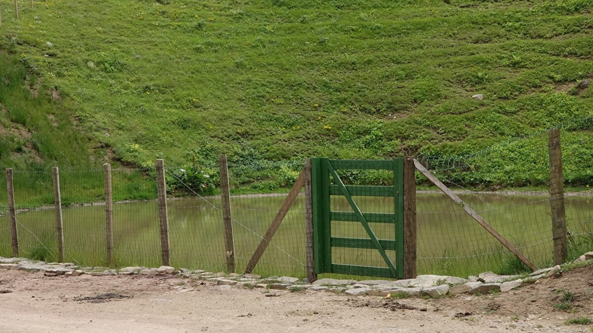 Bölgede, 6 Kasım 2019’da, jandarma yetkililerinin eşlik ettiği kazıda suyu tahliye edilen göl alanı, iş makineleri ile kazıldı. Jandarma ekipleri, kazı alanına kimsenin yaklaşmasına izin vermedi. Kaynağı ve akarı olmayan Dipsiz Göl'de, 4 gün sürdürülen kazı çalışmaları, define bulunamayınca sonlandırıldı.

