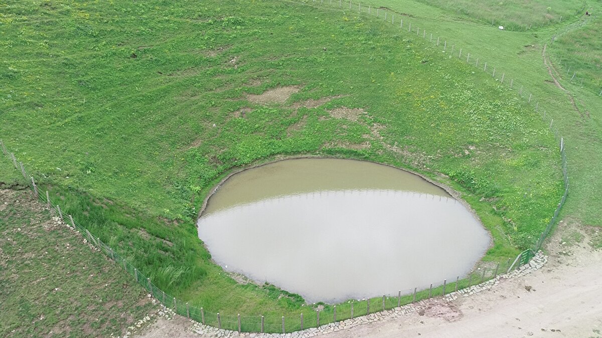 Trabzon Kültür Varlıklarını Koruma Bölge Kurulu ve Çevre ve Şehircilik İl Müdürlüğü'nün olumlu görüşleri üzerine Gümüşhane Müze Müdürlüğü'nce ilgili kişilere define arama ruhsatı verildi.

