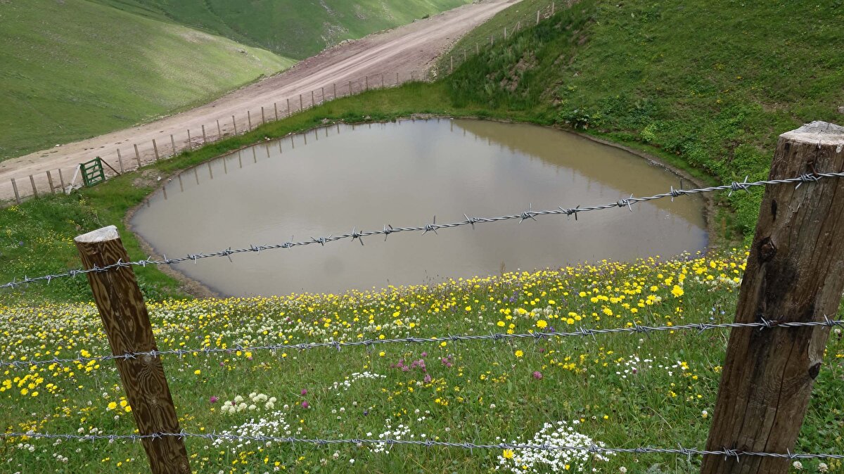Buzul Çağı'ndan kalma, 12 bin yıllık Dipsiz Göl'de tamamlanan kazı çalışmalarının ardından ekipler, alandan ayrıldı. Yol seviyesi ile birleştirilen göl alanı, taş ve toprak yığını haline döndü.

Kazı sonrası toprak doldurularak kapatılan Dipsiz Göl'ün eski haline döndürülmesi için çalışma başlatıldı.

4 maddelik eylem planı kapsamında göl için alana dökülen, dayanıksız toprak çıkarıldı. Yerine ise suya dayanıklı kireçli ve killi toprak döküldü.