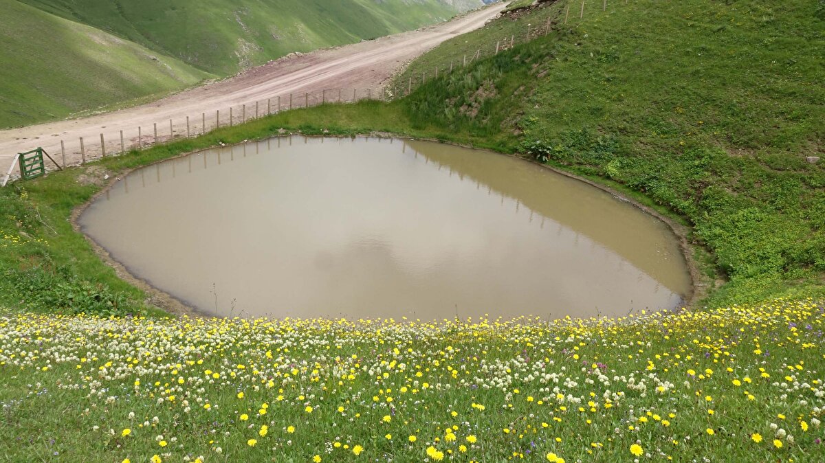 Silindirle tabanı hazırlanan göl alanına, yandaki dereden boru hatlarıyla doğal kaynak suyu verildi. Göl çevresinin flora ve endemik türlerinin korunmasına yönelik de çalışma gerçekleştirildi. Göle yakındaki doğal kaynaktan su verildi.

1 ay boyunca su verilen göl doldu, su tutmaya başladı ancak berraklığına kavuşamadı. Çamurlu haliyle göl, eski dokusundan uzak görünüme büründü.