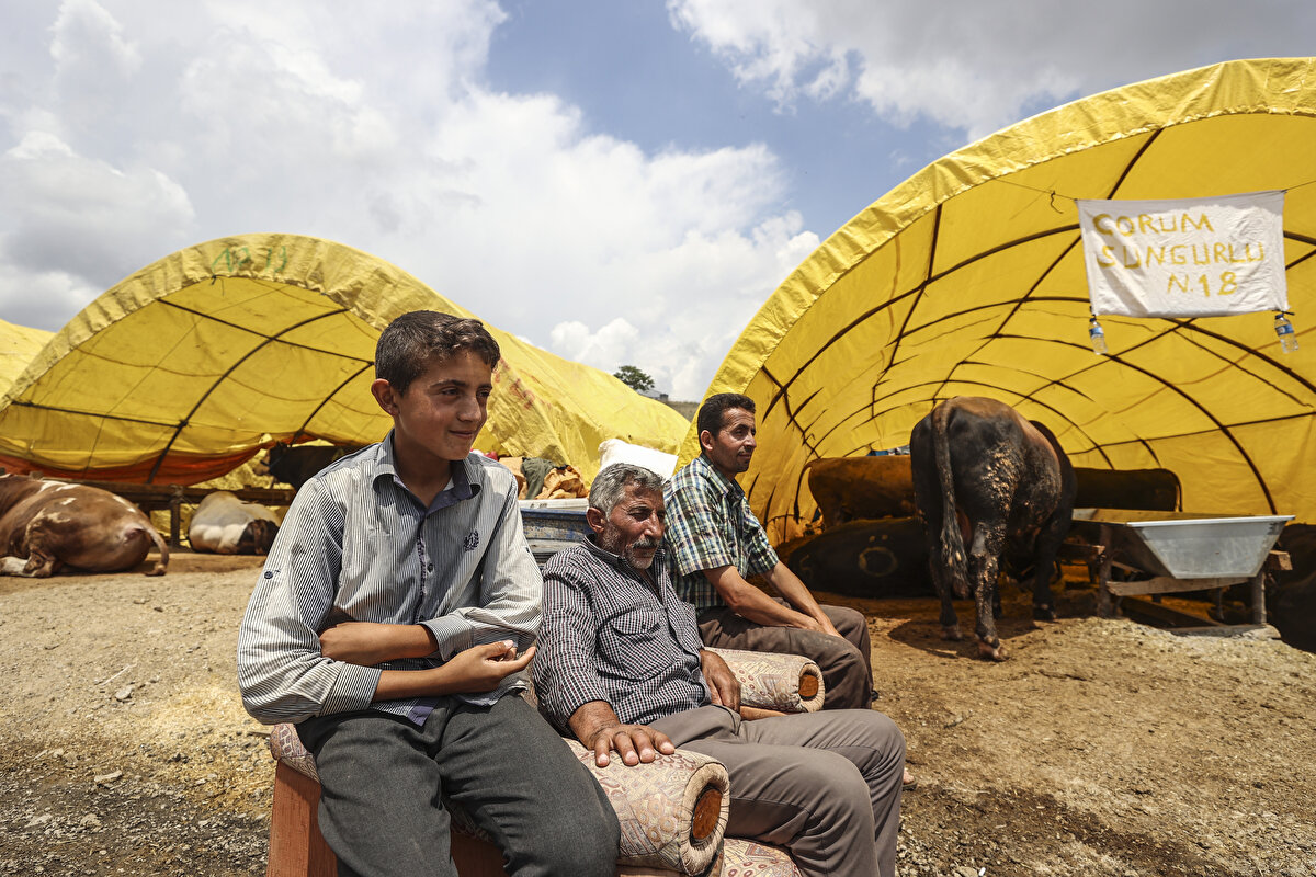 Eroğlu, hayvanda burun ve salya akıntısı, gözyaşı, zor nefes alma, öksürük ve ishal gibi belirtiler varsa ve hayvan yem yemiyorsa veteriner hekimlere haber verilmesi ve kurbanlık olarak alınmaması gerektiğini kaydetti.
