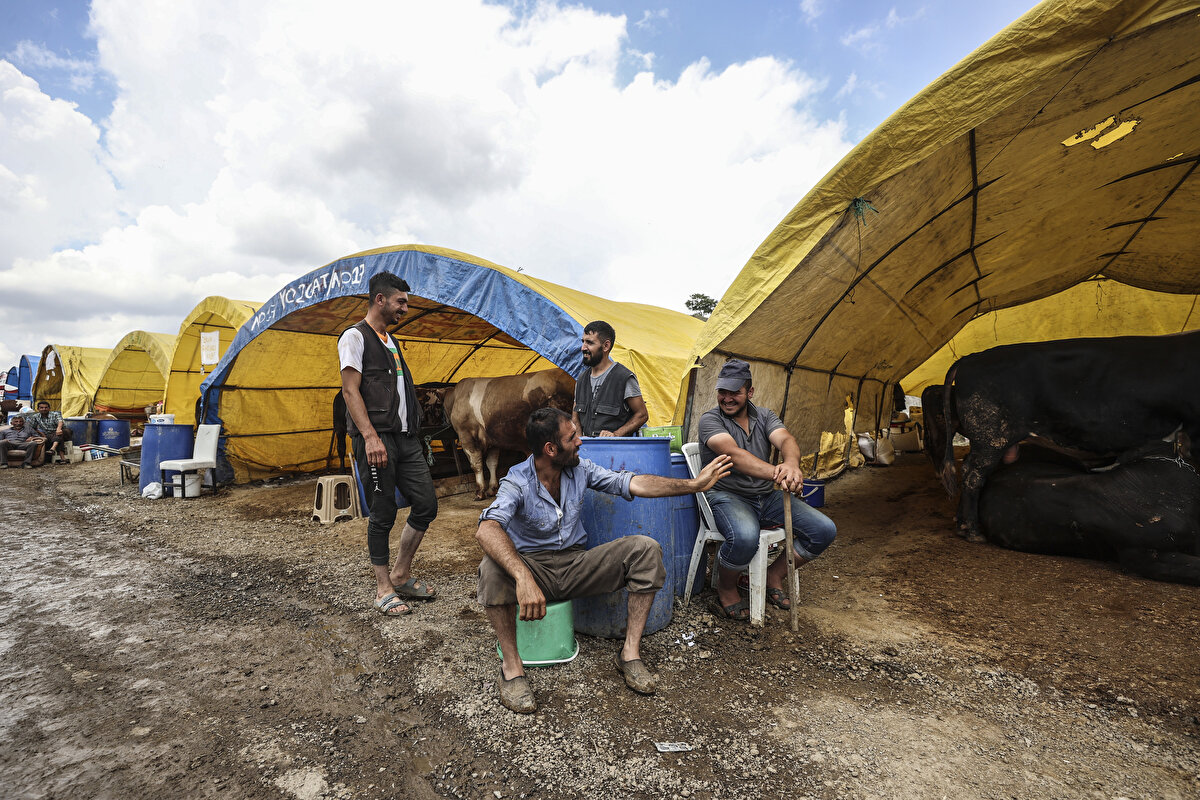 Küçükbaş kurbanlık fiyatlarında geçen yıla göre yüzde 10-15 düzeyinde artış olduğunu belirten Çelik, “Piyasa şartlarına göre kurbanlıklar en uygun şekilde satılıyor. Fiyatlar yaklaşık 1.500 liradan başlıyor” dedi.

