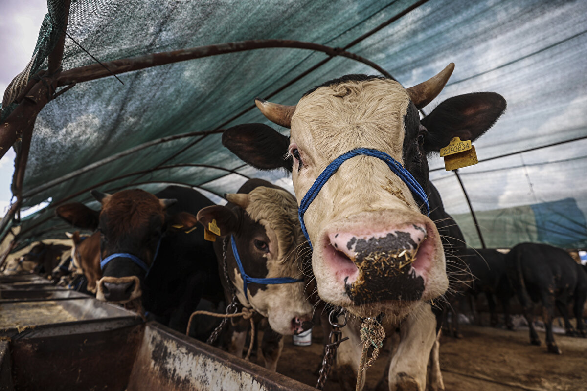 Kıyma çekimi, et parçalama hizmetlerinin ise onaylı işletmelerde yapılması gerektiğinin altı çiziliyor.

