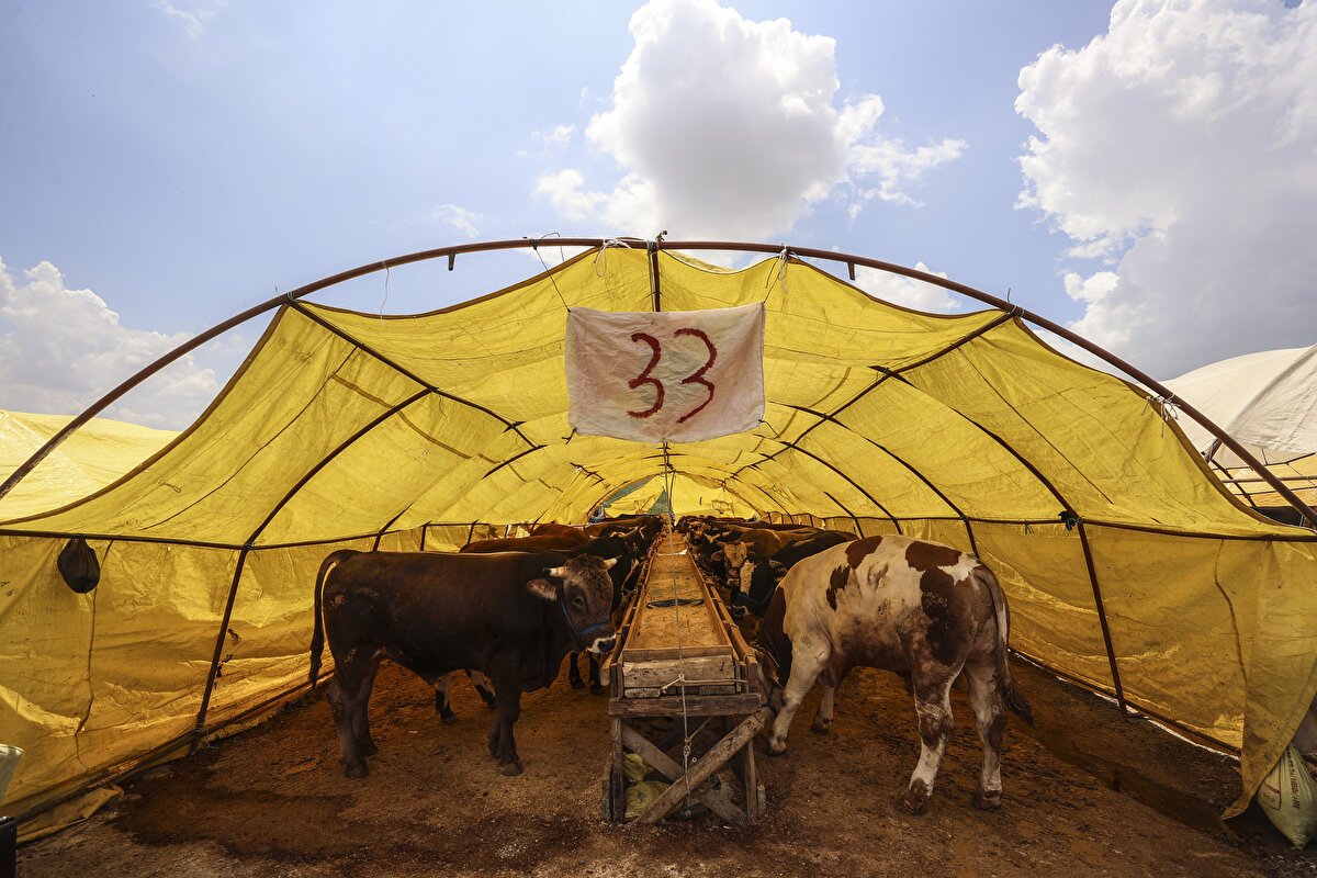 Tüketiciler bu uygulamalar ile hayvanların tür, ırk, cinsiyet ve yaş gibi bilgilerine ulaşabiliyor. Kurbanlık hayvanlar küpelenerek, ulusal veri tabanında kayıt altına alınıyor. Böylece, tüketicilere alışverişlerinde güven ortamı sağlanırken, hayvanlar hakkında da bilgi edinebilme imkanı doğuyor.

