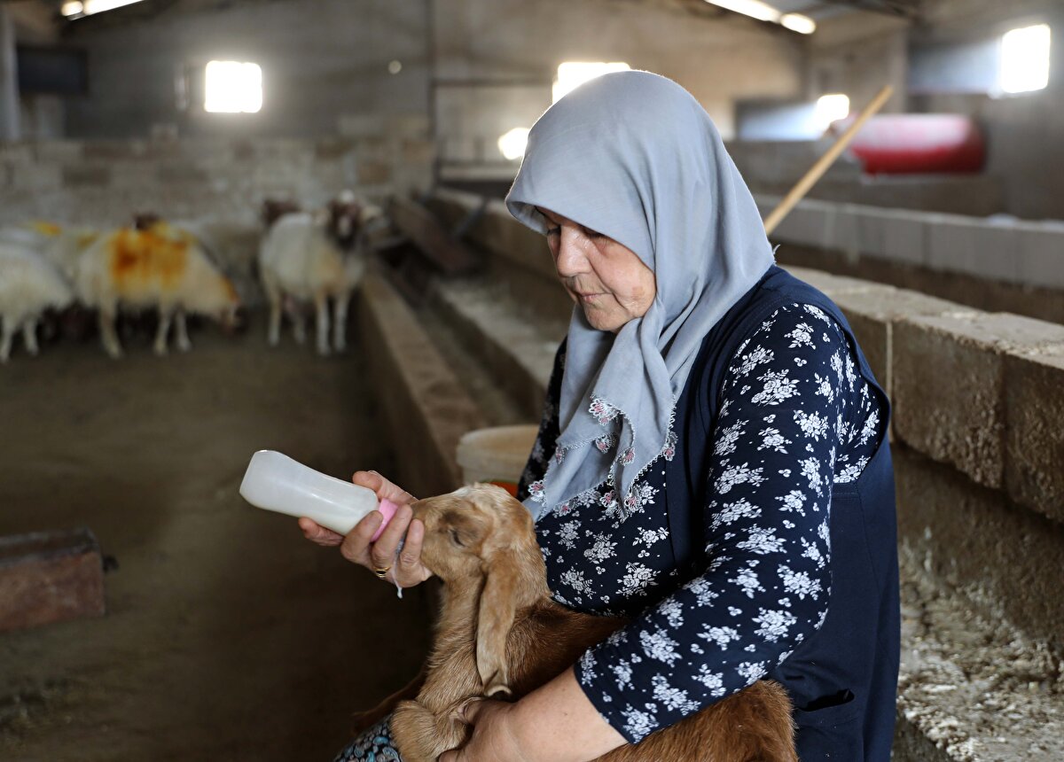 Sakaroğlu, kadınların istedikten sonra her işin üstesinden gelebileceğini söyledi. 3 yıl önce de araç kullanmayı öğrenerek işlerini daha hızlı sürede yapabildiğini anlatan Sakaroğlu, Kadın isterse her şeyi başarır. Ben 59 yaşındayım ve işimin yorucu olması gerekçesiyle 3 yıl önce araç kullanmayı dahi öğrendim. Artık her işimi kendi aracımla hallediyorum. Aracımla süt ürünlerini taşıyorum. Bana yapamazsın diyenlere inat her şeyin en iyisini yapmaya çalıştım. Şimdi bana yapamazsın diyenler beni görünce 'helal olsun' diyor diye konuştu.