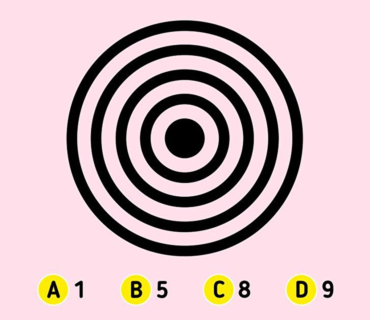 Görselde kaç daire var?