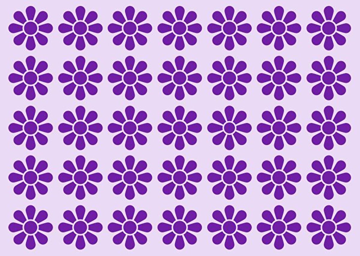 Hangi çiçek diğerlerinden ayrılıyor?