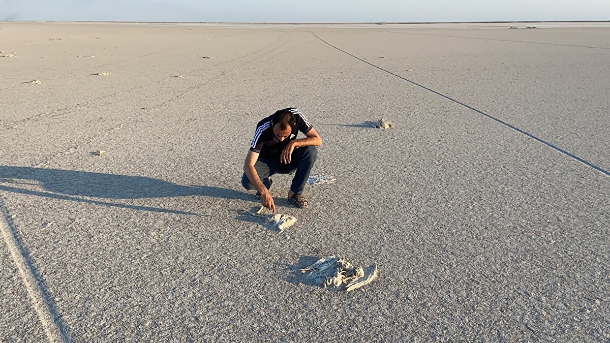 Tuz Gölü'nün Gölyazı bölgesinde yaşanan flamingo ölümleri flamingo cenneti olarak bilinen Tuz Gölü’nü adeta flamingo mezarlığına dönüştürdü.
