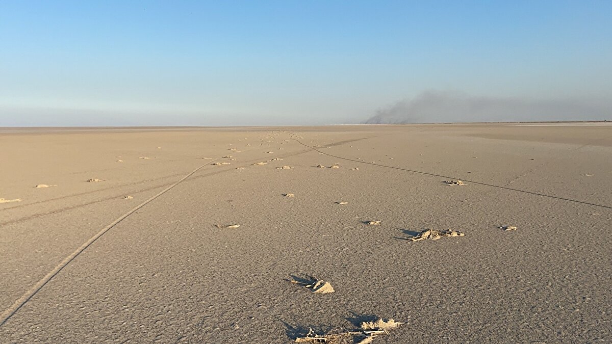 Tuz Gölü kuraklıktan en çok payını alan doğal varlıklardan birisi haline geldi. Her sene yüz binlerce flamingo, yaz aylarının daha sıcak geçtiği bölgelerden Mart ayının ortalarından itibaren kuluçka dönemi için Tuz Gölü’ne gelirken, küresel ısınmanın oluşturduğu etkilerden birisi olan su rezervlerinin tükenmesi ve yoğun su kullanımı olumsuz etkiler ortaya çıkarıyor.
