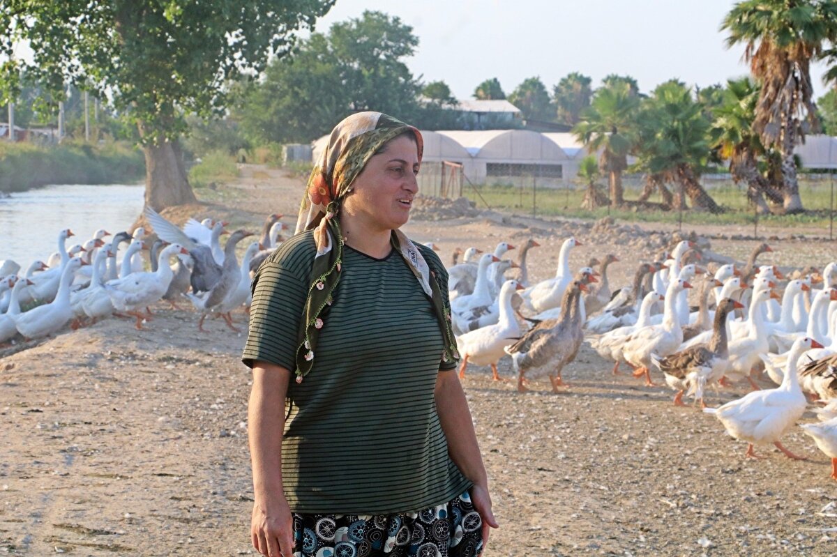 Hayvancılığın oldukça zor bir meslek olduğunu aktaran Öncel, “Hiç başından ayrılmıyorsunuz bu işin. Bir yere gidiyorsunuz aklınız burada kalıyor. Yaz-kış tatilimiz yok. Çocuklarımdan daha çok zaman ayırdım hayvanlara. Çocuklarım sabah okula gidip akşam geliyor ama hayvanlarımla 24 saat zaman geçiriyorum. Mutluyum, hayvancılığı seviyorum” diye konuştu.