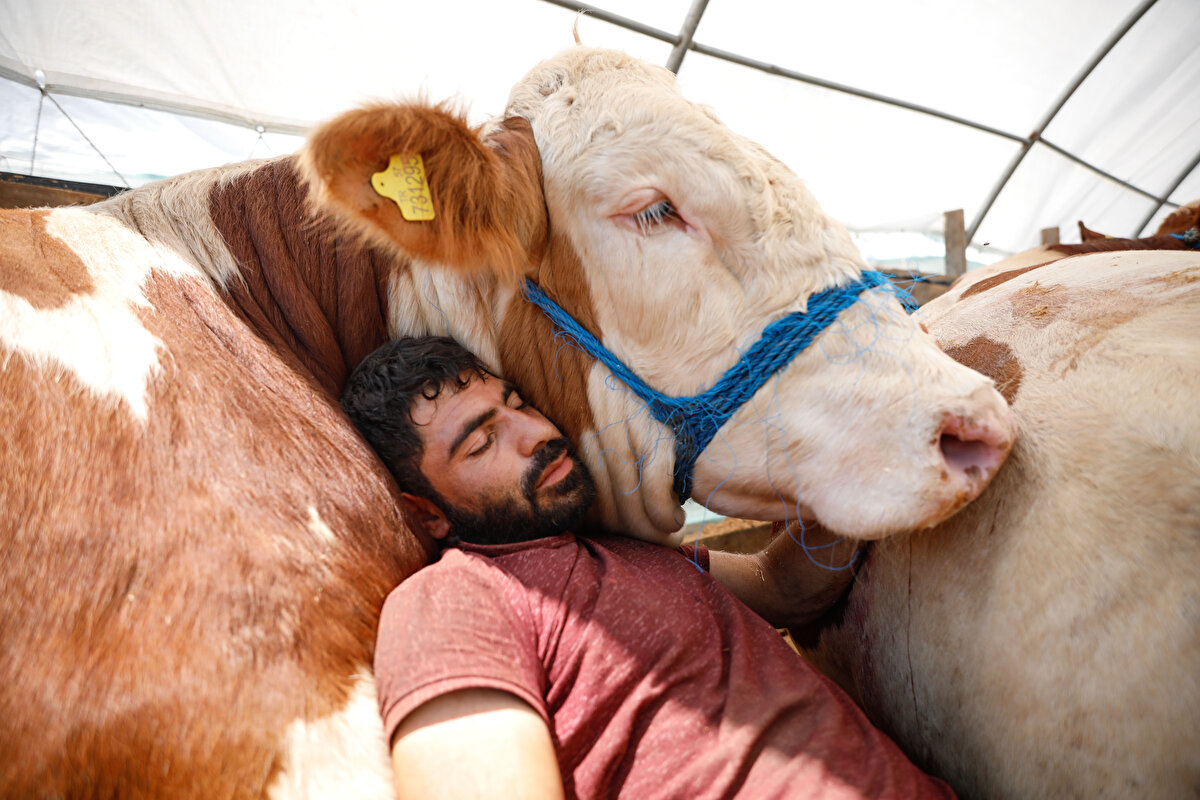 "Artık kanka olduk" diyeh Emrah Acar, "Bir arkadaş dost gibi. Benim en iyi dostum budur şu an. Beraber yatıp beraber kalkıyoruz. Yanına yattığım zaman asla rahatsız olmaz. Rahatını bozmuyor. Kalkmak istediğimde izin vermiyor kalkmama, sarılıyor. Aramız bu kadar iyi" diye konuştu.