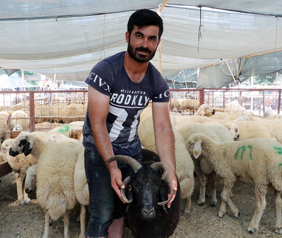 Yaklaşık 15 yıldır besicilik yaptığını kaydeden Satılmış, doğduğu günden bu yana 'Bereket'i birçok kişinin satın almak istediğini, fakat kabul etmediğini söyledi.
