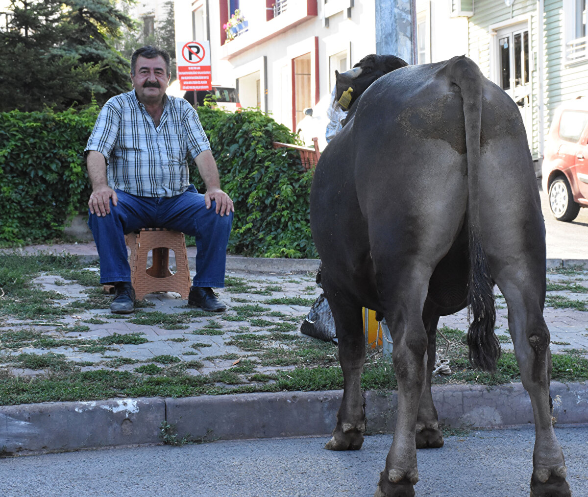 Yaralanmaların büyük bölümünün bıçak ve satır kullanırken gerçekleştiği kaydedildi.

