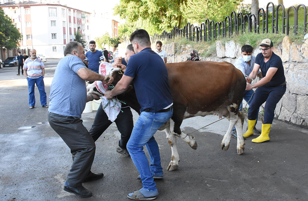 İşte hastanelere akın eden acemi kasaplar...

