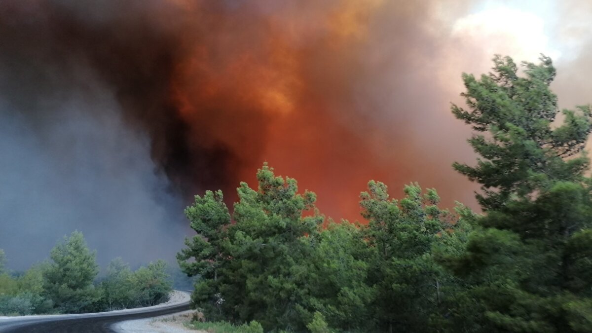 Bölgeyi tamamen duman kaplarken, yangın söndürme uçağı ve helikopterin yanı sıra Orman İşletme Müdürlüğü ve Antalya Büyükşehir Belediyesi'ne bağlı itfaiye ekipleri tarafından alevlere müdahale ediliyor.
