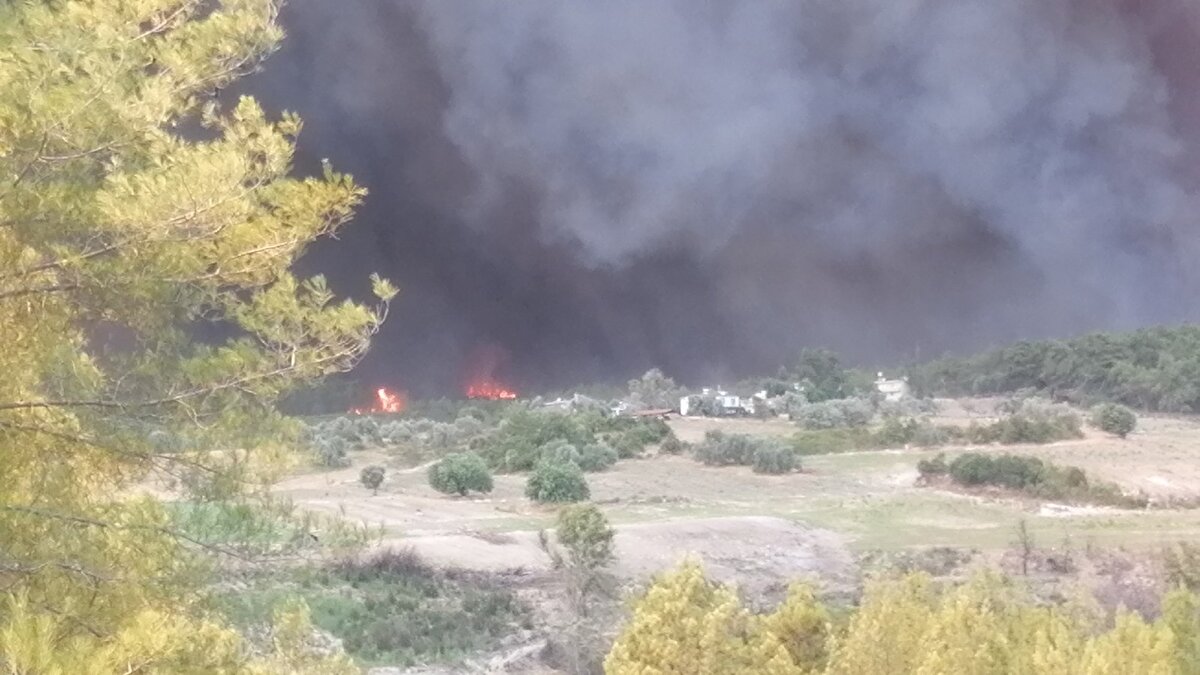 Manavgat Kaymakamı Mustafa Yiğit şunları söyledi: "Yangın nedeniyle Evrenseki, Kalemler ve Yeniköy mahallelerindeki evler önemli ölçüde boşaltıldı. Havadan müdahale devam ediyor. Görülmemiş bir şey. Çok üzücü. Bazı mahsur kalanlar olduğuna dair bilgiler geliyor. Ama ne olarak hastanelere intikal etmiş bir şey yok."