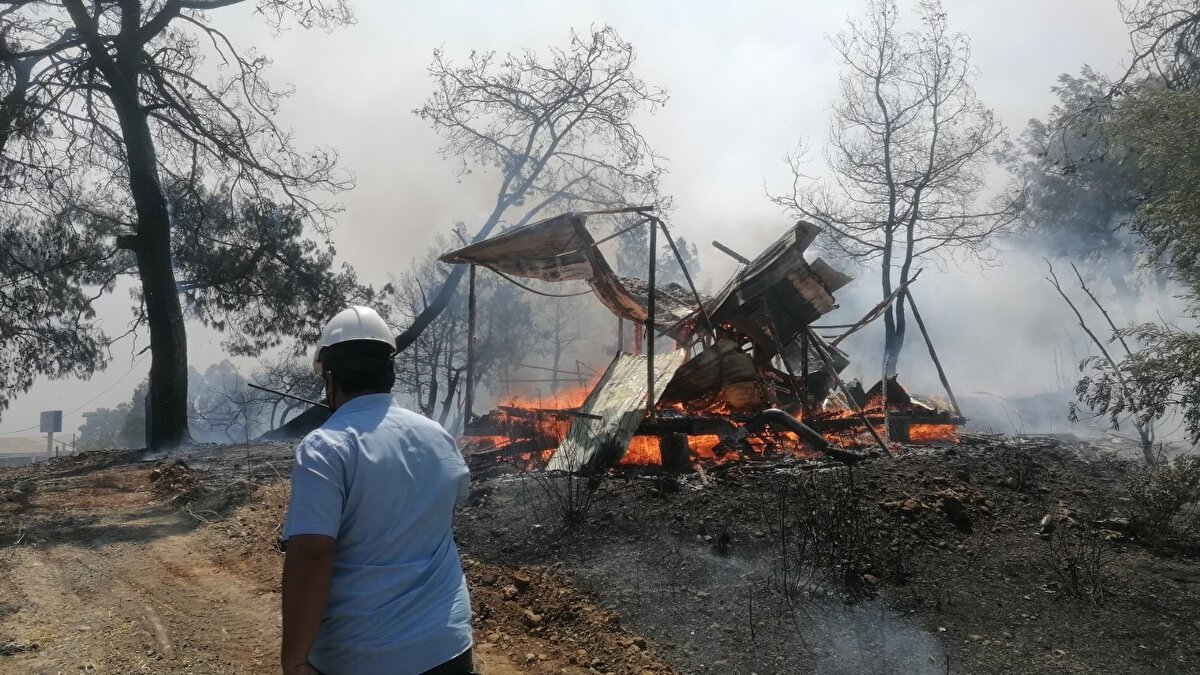 Bölgede çok sayıda kişiye ait zeytinlik, defne ve badem bahçelerinin yanı sıra ormanlık alanda da etkili olan yangına, havadan ve karadan da müdahale ediliyor.

