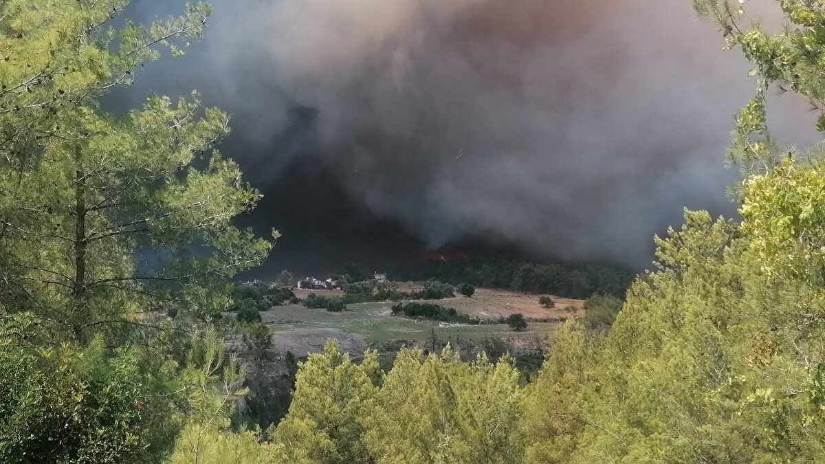 Antalya Büyükşehir Belediye Başkanı Muhittin Böcek, yangının 4 ayrı noktada çıkmasının oldukça düşündürücü olduğunu belirtti ve güvenlik güçlerinin durumu araştırdığını da ekledi.

Yangında şu ana kadar herhangi bir can kaybı yaşanmadığını da aktaran Böcek, dumandan etkilenen vatandaşların olduğunu açıkladı. 

Manavgat Belediye Başkanı Şükrü Sözen de bölgedeki en büyük yangın olduğunu söyledi.

Sözen, ''Yangın 15 kilometrelik alana yayılmış durumda'' diyerek bilgi verdi. 