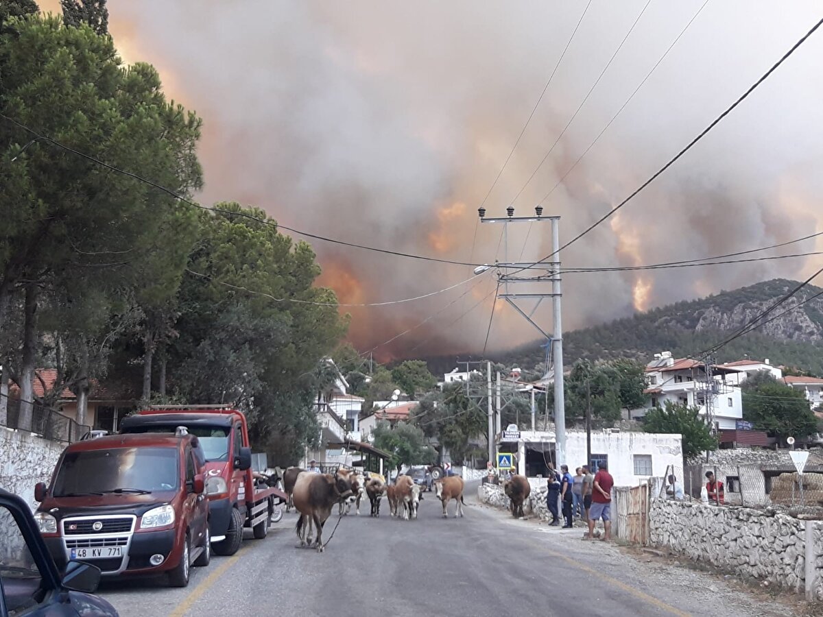 Dün öğleden sonra Milas'ta başlayıp Bodrum sınırlarına kadar yayılan orman yangınını söndürmek için ekiplerin mücadelesi devam ederken, gerek hava ve iklim şartları gerekse doğa koşulları ekiplerin alevlerle mücadelesini zorlaştırıyor.