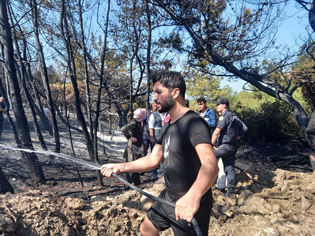 O günden beri beste çalışmalarını hızlandırdı ve 2008 yılında ilk bestesi Aşk-ı Virane Rafet El Roman'ın 2008 tarihli albümü Bir Roman Gibi'de kendine yer buldu. Rafet El Roman ile bu şarkıda bir düete imza atan şarkıcı, bu parçaya çekilen video klipte de sanatçıya eşlik etti. Şarkı oldukça başarılı oldu ve Billboard Türkçe Top 20 Listesi'nde tam 17 hafta bir numarada kaldı. 2009 yılında düzenlenen geleneksel Kral TV Video Müzik Ödülleri'nde de bu şarkı, Yılın Şarkısı seçildi.