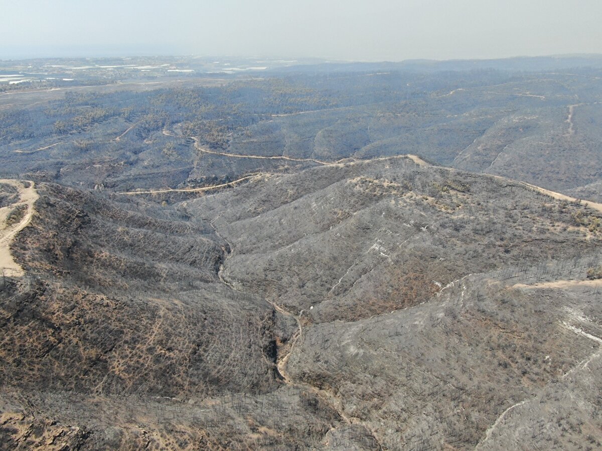 İşte Manavgat yangınında söndürülen yerlerden geriye kalanlar...